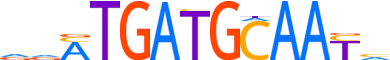ATF4.H12INVITRO.0.P.B motif logo (ATF4 gene, ATF4_HUMAN protein)