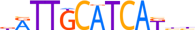ATF4.H12INVITRO.0.P.B reverse-complement motif logo (ATF4 gene, ATF4_HUMAN protein)