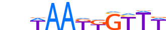 BARX1.H12INVITRO.0.P.C motif logo (BARX1 gene, BARX1_HUMAN protein)