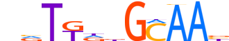 CEBPE.H12INVITRO.0.P.B motif logo (CEBPE gene, CEBPE_HUMAN protein)