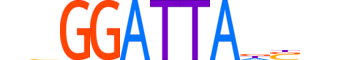DPRX.H12INVITRO.0.SM.B motif logo (DPRX gene, DPRX_HUMAN protein)