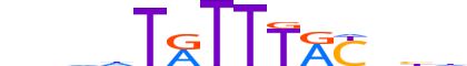 FOXA2.H12INVITRO.0.PSM.A motif logo (FOXA2 gene, FOXA2_HUMAN protein)