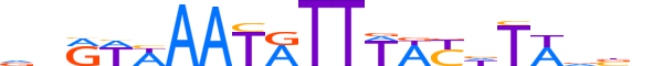 FOXD2.H12INVITRO.0.S.B motif logo (FOXD2 gene, FOXD2_HUMAN protein)