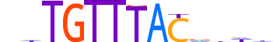 FOXI1.H12INVITRO.0.SM.B motif logo (FOXI1 gene, FOXI1_HUMAN protein)