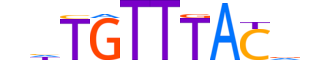 FOXJ2.H12INVITRO.0.PSM.A motif logo (FOXJ2 gene, FOXJ2_HUMAN protein)