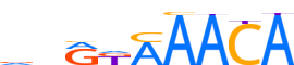 FOXK1.H12INVITRO.0.PS.A reverse-complement motif logo (FOXK1 gene, FOXK1_HUMAN protein)