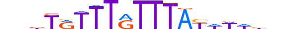 FOXL1.H12INVITRO.0.S.B motif logo (FOXL1 gene, FOXL1_HUMAN protein)