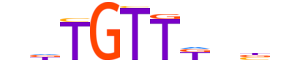 FOXL2.H12INVITRO.0.PSM.A motif logo (FOXL2 gene, FOXL2_HUMAN protein)