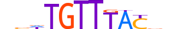FOXO6.H12INVITRO.0.S.B motif logo (FOXO6 gene, FOXO6_HUMAN protein)