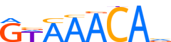 FOXP2.H12INVITRO.0.P.D reverse-complement motif logo (FOXP2 gene, FOXP2_HUMAN protein)