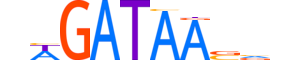 GATA2.H12INVITRO.0.PSM.A motif logo (GATA2 gene, GATA2_HUMAN protein)