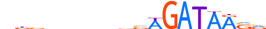GATA2.H12INVITRO.1.P.B motif logo (GATA2 gene, GATA2_HUMAN protein)