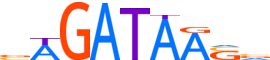 GATA4.H12INVITRO.0.PSM.A motif logo (GATA4 gene, GATA4_HUMAN protein)