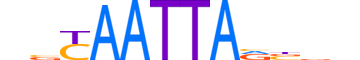 GBX2.H12INVITRO.0.SM.B reverse-complement motif logo (GBX2 gene, GBX2_HUMAN protein)