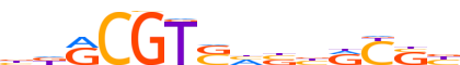 GMEB2.H12INVITRO.0.P.C motif logo (GMEB2 gene, GMEB2_HUMAN protein)