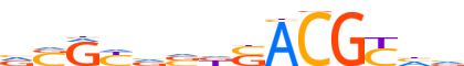 GMEB2.H12INVITRO.0.P.C reverse-complement motif logo (GMEB2 gene, GMEB2_HUMAN protein)