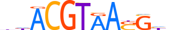 GMEB2.H12INVITRO.2.SM.B motif logo (GMEB2 gene, GMEB2_HUMAN protein)