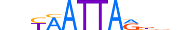 GSX2.H12INVITRO.0.SM.B reverse-complement motif logo (GSX2 gene, GSX2_HUMAN protein)