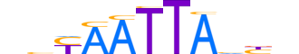 HESX1.H12INVITRO.0.SM.B motif logo (HESX1 gene, HESX1_HUMAN protein)