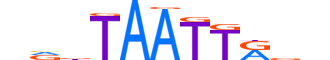 HESX1.H12INVITRO.0.SM.B reverse-complement motif logo (HESX1 gene, HESX1_HUMAN protein)