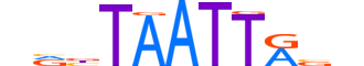 HME1.H12INVITRO.0.PSM.A reverse-complement motif logo (EN1 gene, HME1_HUMAN protein)