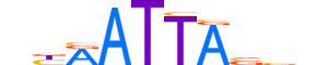 HME2.H12INVITRO.0.SM.B motif logo (EN2 gene, HME2_HUMAN protein)