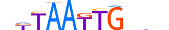 HMX3.H12INVITRO.0.S.B motif logo (HMX3 gene, HMX3_HUMAN protein)