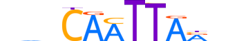 HMX3.H12INVITRO.0.S.B reverse-complement motif logo (HMX3 gene, HMX3_HUMAN protein)