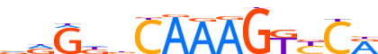 HNF4A.H12INVITRO.0.PSM.A motif logo (HNF4A gene, HNF4A_HUMAN protein)