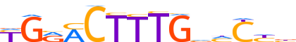 HNF4A.H12INVITRO.0.PSM.A reverse-complement motif logo (HNF4A gene, HNF4A_HUMAN protein)