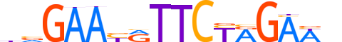 HSF1.H12INVITRO.0.PSM.A motif logo (HSF1 gene, HSF1_HUMAN protein)
