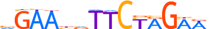 HSF4.H12INVITRO.0.SM.B motif logo (HSF4 gene, HSF4_HUMAN protein)