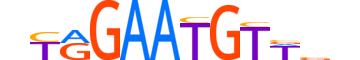 HSF5.H12INVITRO.0.M.C reverse-complement motif logo (HSF5 gene, HSF5_HUMAN protein)