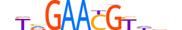 HSF5.H12INVITRO.1.S.C reverse-complement motif logo (HSF5 gene, HSF5_HUMAN protein)