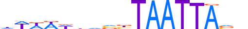 HXA1.H12INVITRO.1.S.B motif logo (HOXA1 gene, HXA1_HUMAN protein)