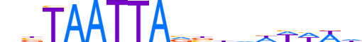 HXA1.H12INVITRO.1.S.B reverse-complement motif logo (HOXA1 gene, HXA1_HUMAN protein)