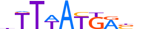 HXA10.H12INVITRO.0.S.B motif logo (HOXA10 gene, HXA10_HUMAN protein)