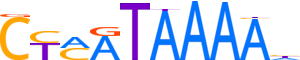 HXA13.H12INVITRO.0.P.B reverse-complement motif logo (HOXA13 gene, HXA13_HUMAN protein)