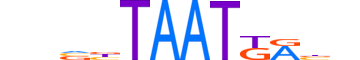 HXA5.H12INVITRO.0.SM.B motif logo (HOXA5 gene, HXA5_HUMAN protein)