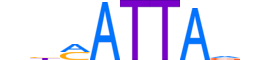 HXB3.H12INVITRO.0.S.B reverse-complement motif logo (HOXB3 gene, HXB3_HUMAN protein)