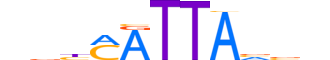 HXB7.H12INVITRO.1.SM.B reverse-complement motif logo (HOXB7 gene, HXB7_HUMAN protein)