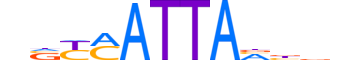 HXB8.H12INVITRO.0.PSM.A reverse-complement motif logo (HOXB8 gene, HXB8_HUMAN protein)