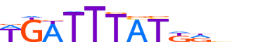 HXC10.H12INVITRO.0.P.B motif logo (HOXC10 gene, HXC10_HUMAN protein)