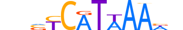 HXC10.H12INVITRO.1.S.B reverse-complement motif logo (HOXC10 gene, HXC10_HUMAN protein)