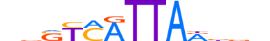 HXC8.H12INVITRO.0.SM.B reverse-complement motif logo (HOXC8 gene, HXC8_HUMAN protein)