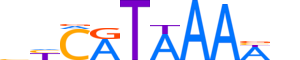 HXD11.H12INVITRO.0.PS.A reverse-complement motif logo (HOXD11 gene, HXD11_HUMAN protein)