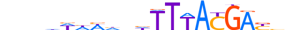 HXD11.H12INVITRO.1.SM.B motif logo (HOXD11 gene, HXD11_HUMAN protein)