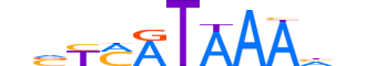 HXD13.H12INVITRO.0.PS.A reverse-complement motif logo (HOXD13 gene, HXD13_HUMAN protein)