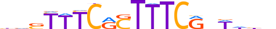 IRF2.H12INVITRO.0.PSM.A reverse-complement motif logo (IRF2 gene, IRF2_HUMAN protein)