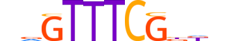 IRF5.H12INVITRO.1.S.B reverse-complement motif logo (IRF5 gene, IRF5_HUMAN protein)